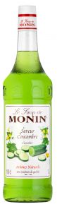 Monin Okurka 1l